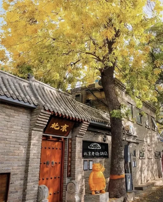Hutongs-01.jpg