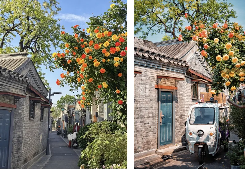 Hutongs-02.jpg