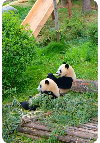 all inclusive trip to china