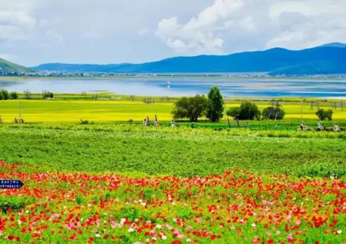 China Summer Tours: Cool Escapes & Vibrant Summer Vibes