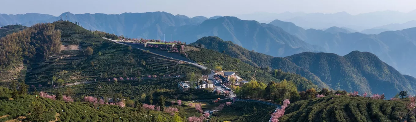 fuyang