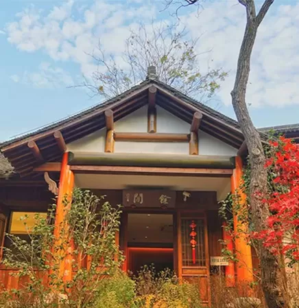 Hangzhou Tea Tour