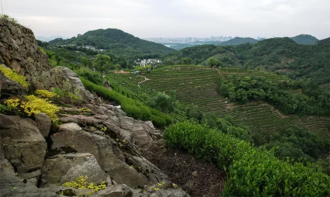 Hangzhou Tour Gateway