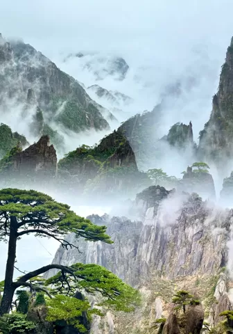 huangshan tour