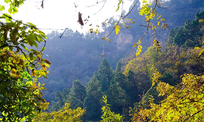 Huangshan (Yellow Mountain)
