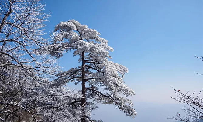 Huangshan (Yellow Mountain)