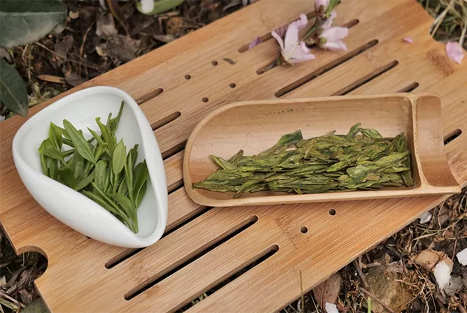 Longjing Tea Tasting