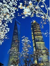 shanghai-spring-tour-of-lujiazui.png