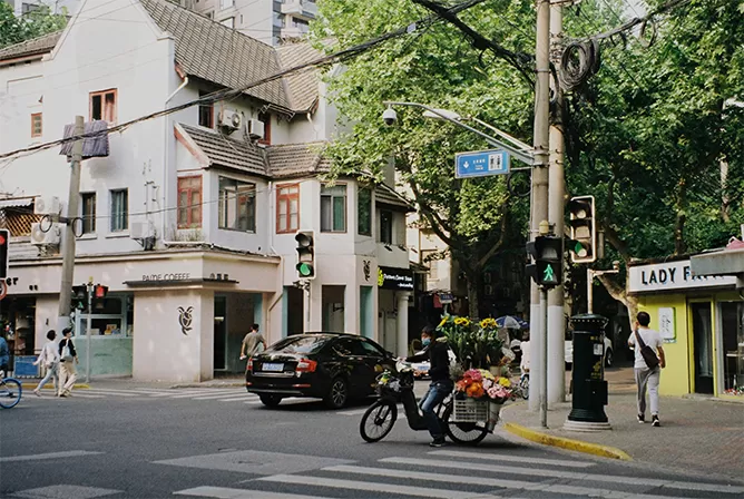 Shanghai Spring Tour