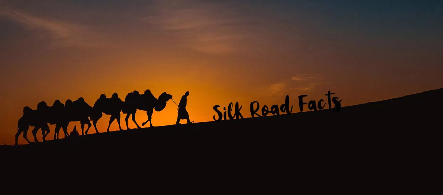 Silk Road Tours