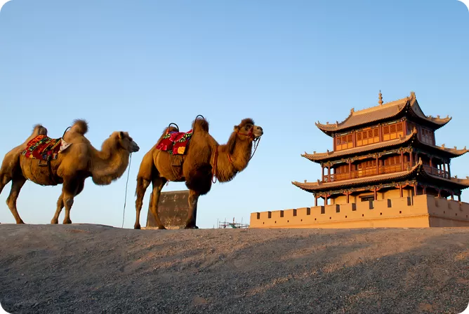 Silk Road Tours