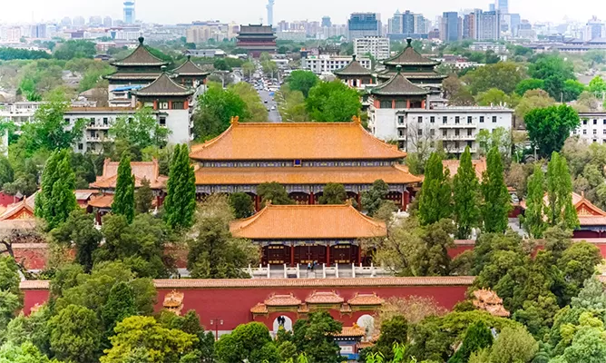 the forbidden city 1