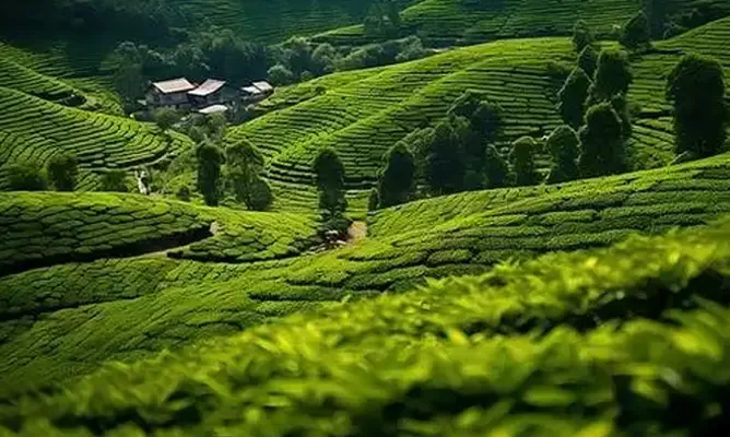 trip to china cost