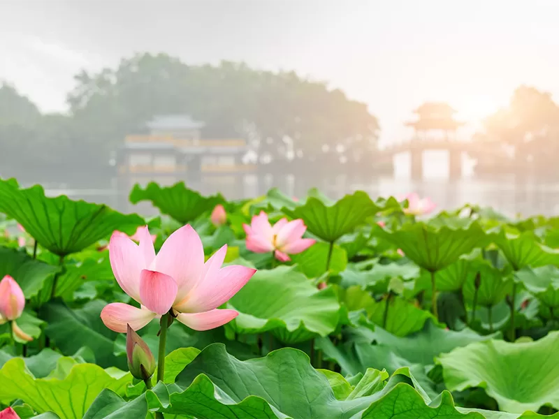 Weather & Best Time to Visit