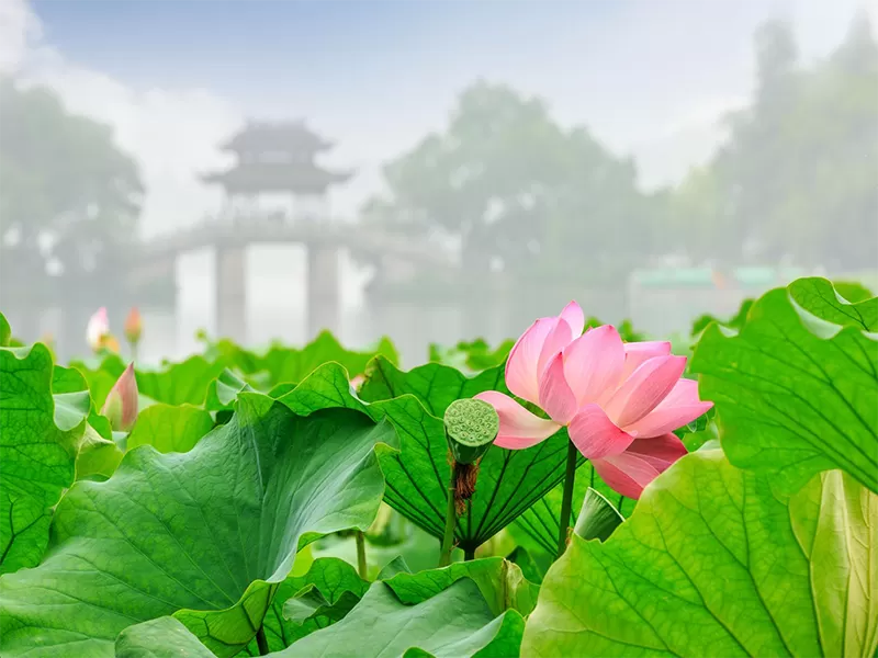 Weather & Best Time to Visit