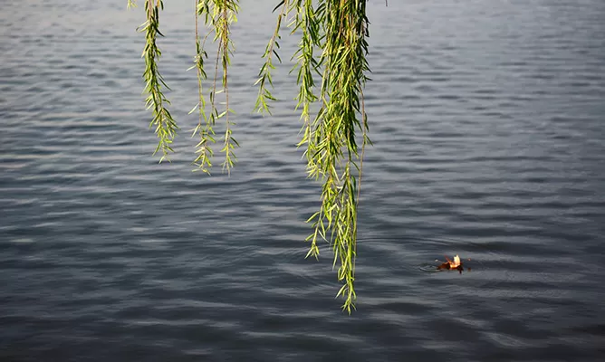 West Lake, Hangzhou