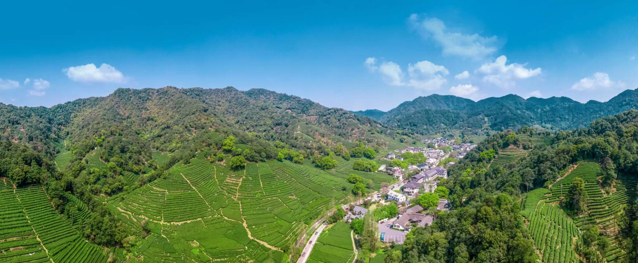 west-lake-longjing.jpg