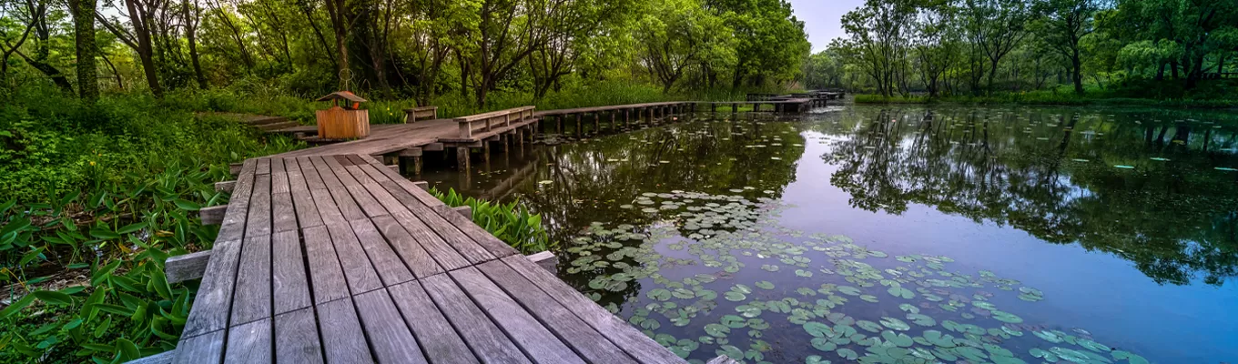 xixi national wetland park