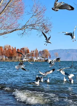 Yunnan